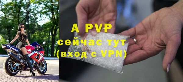 PSILOCYBIN Абаза
