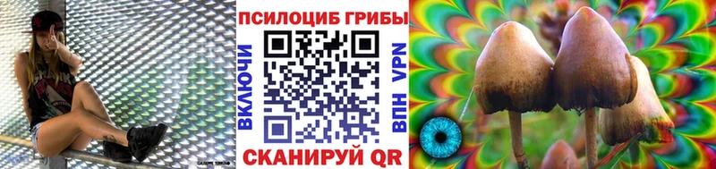 Псилоцибиновые грибы прущие грибы  darknet наркотические препараты  Терек  где купить  